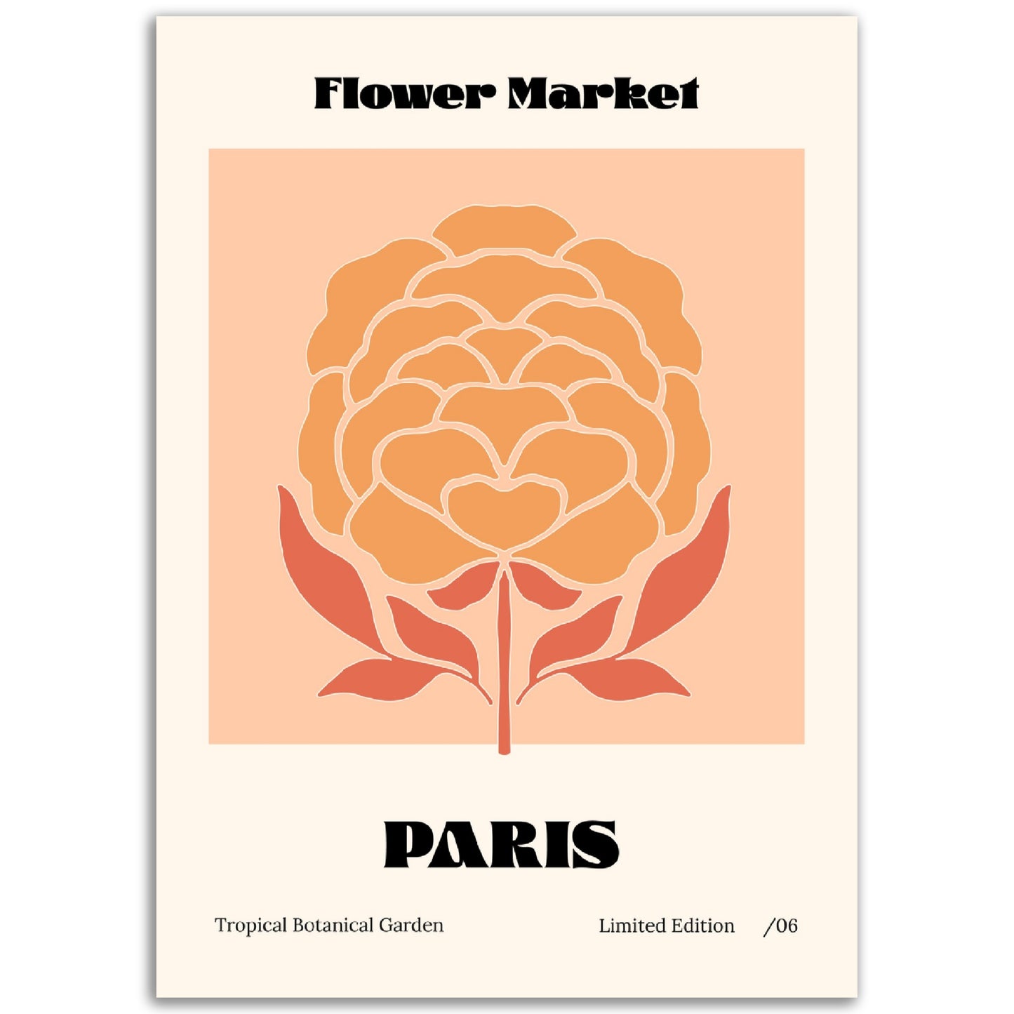 Flower Market - Paris