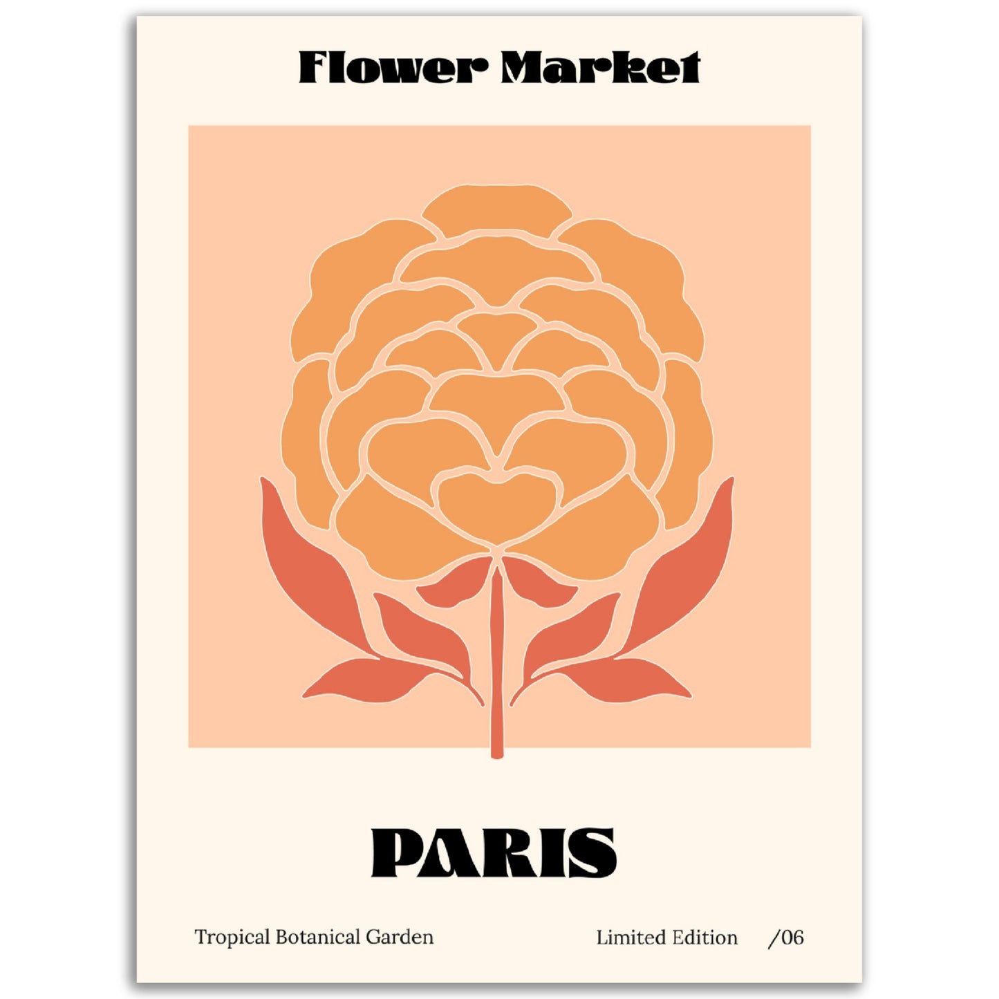 Flower Market - Paris